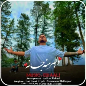 دانلود آهنگ من از دنیا فقط تی دل خوامه دلبر منی جانه از ابی عالی