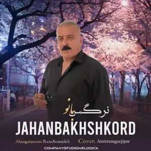 دانلود آهنگ نرگس بانو جانا از جهانبخش کرد دانلود آهنگ نرگس بانو جانا از جهانبخش کرد